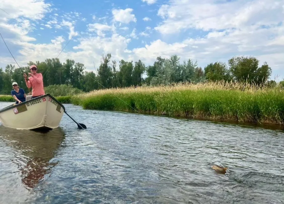 Guide and angler, drift boat, rising trout